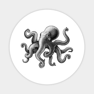 Octopus Magnet